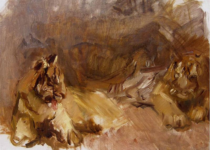 Max Slevogt Study of Lions oil painting image